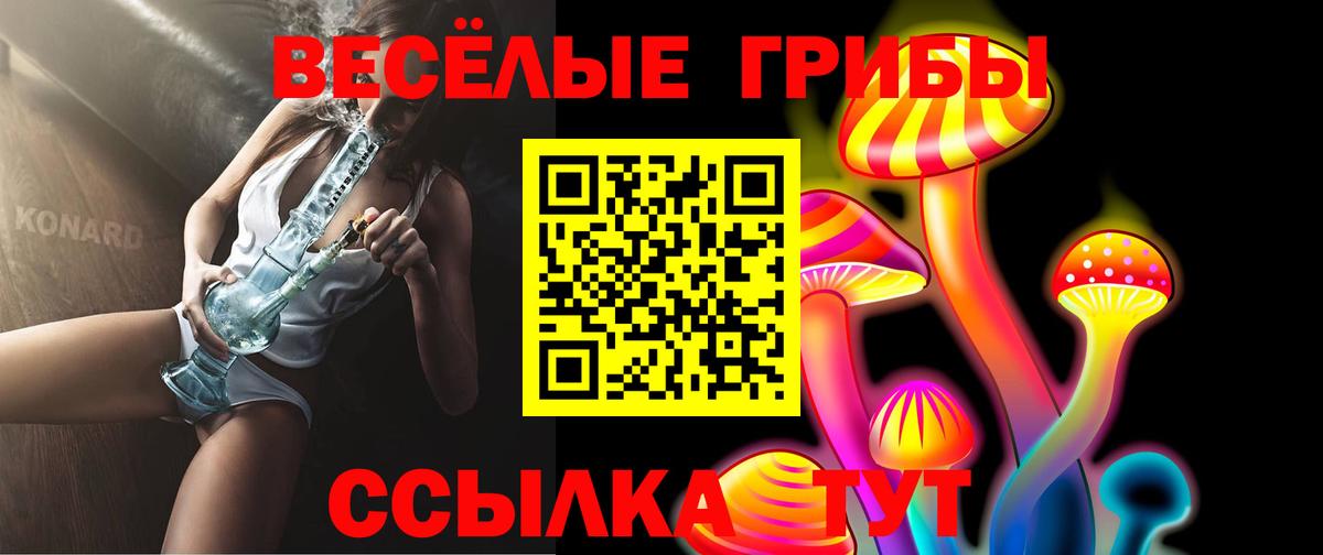 Псилоцибиновые грибы Psilocybe  Вход с VPN  Коркино 